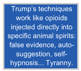 Trump’s techniques
work like opioids
injected directly into
specific animal spirits:
false evidence, auto-
suggestion, self-
hypnosis... Tyranny.